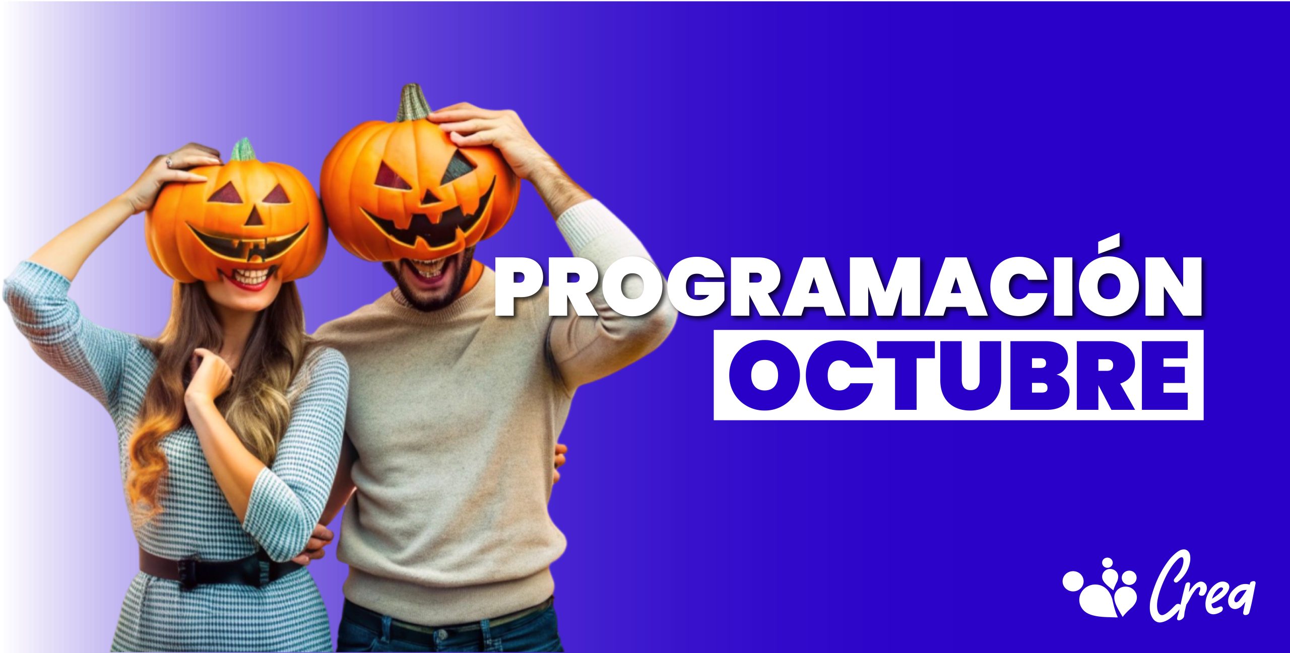 banner programación